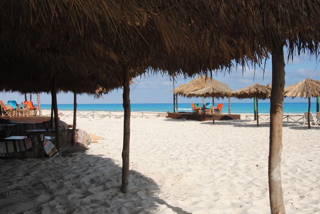 Aida Beach Hotel - เอลอาลาเมน ภายนอก รูปภาพ